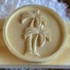 4 Smooth urethane polyuria hardcoat on a medallion with palm trees