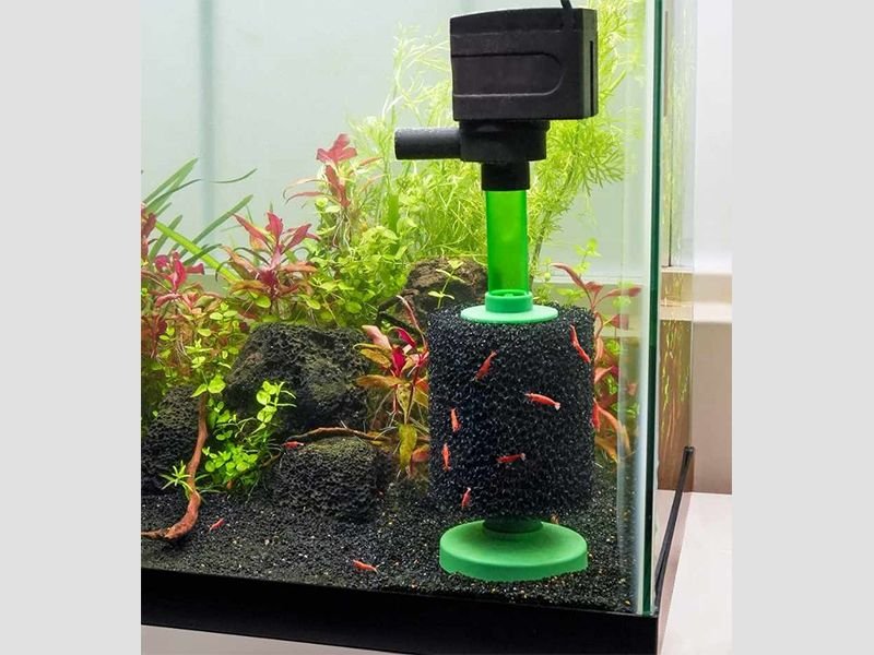 Aquatic sponge foam filters for aquarium pumps