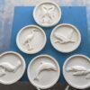 Round foam custom medallions with seahorse, blue heron, wading bird, pelican, dolphin and seaturtle_
