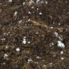 Soil amendment with Perlite added for increase aeration of soil