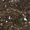 Soil amendment with Perlite added for increase aeration of soil
